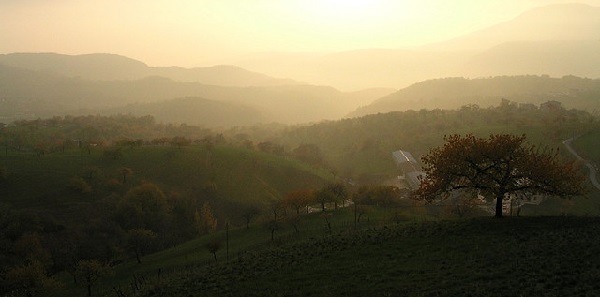 valpolicella